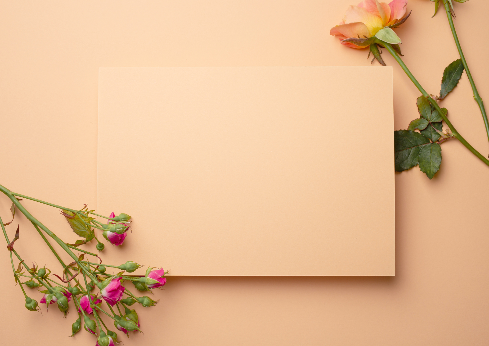 Spring floral background template
